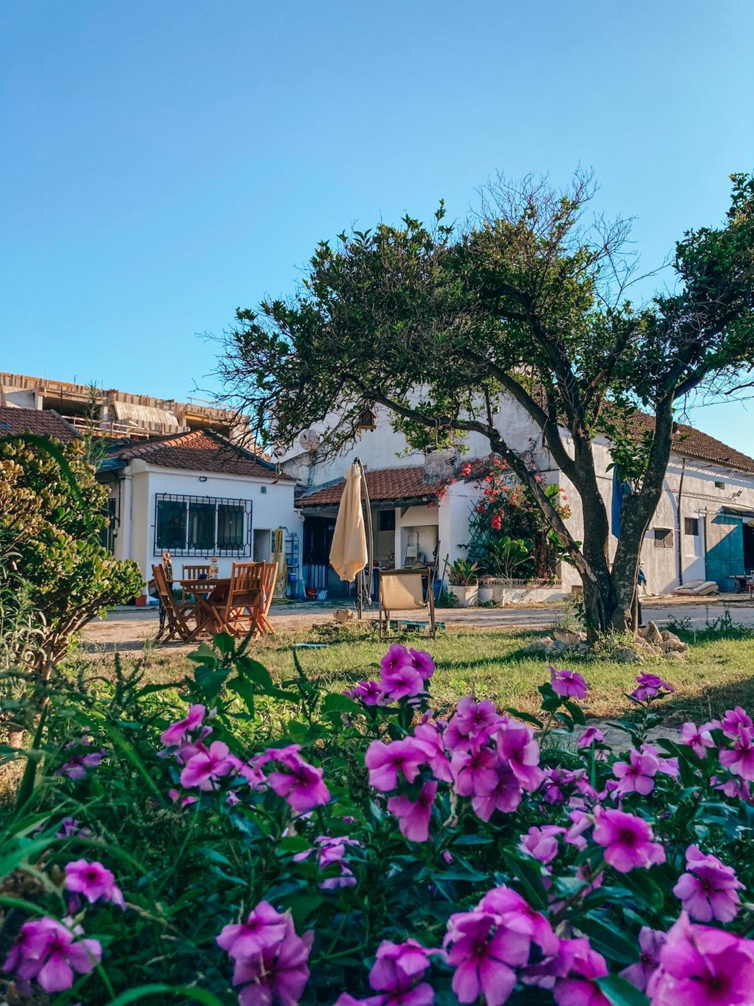 Montijo Garden - Studio With Garden View 外观 照片